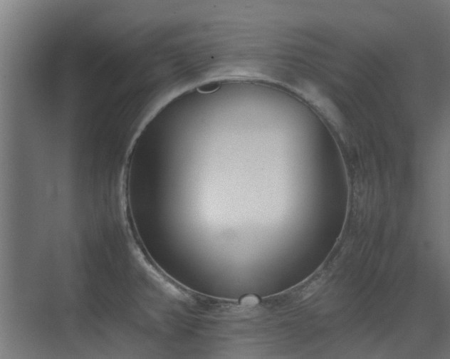X0000074951382200609011109