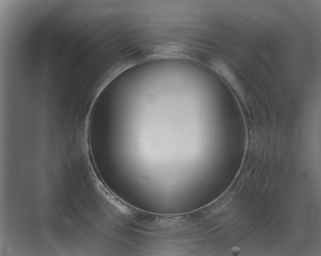 X0000074951386200609011109