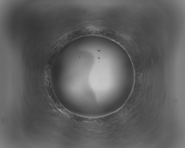 X0000074951397200609011108