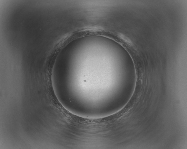 X0000074951398200609011108