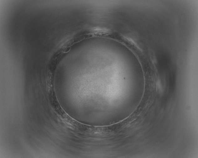 X0000074951399200609011108