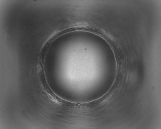 X0000074951400200609011108