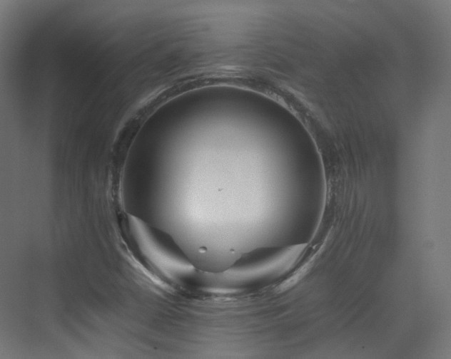 X0000074951402200609011108