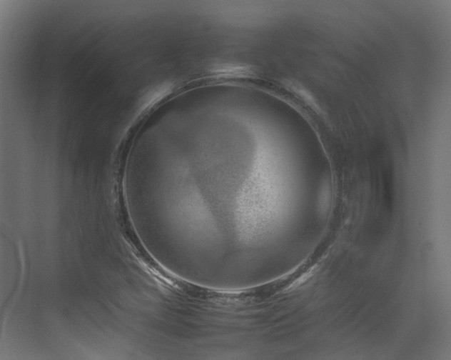 X0000074951405200609011108