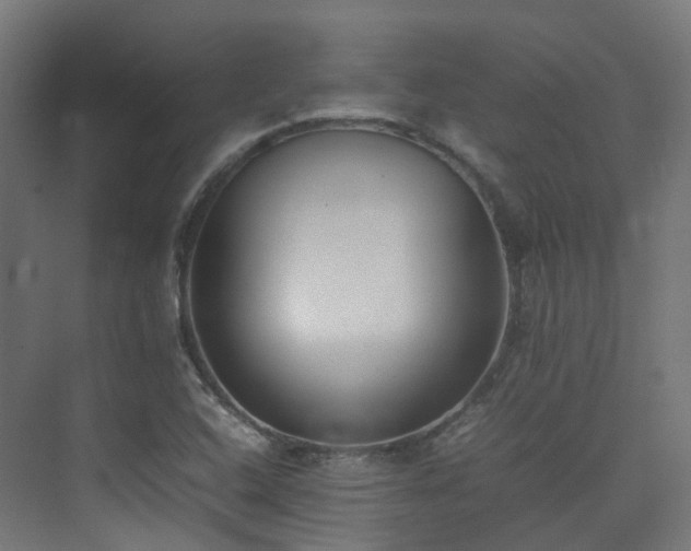 X0000074951408200609011108