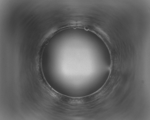 X0000074951411200609011108