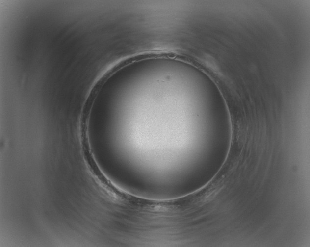 X0000074951412200609011108