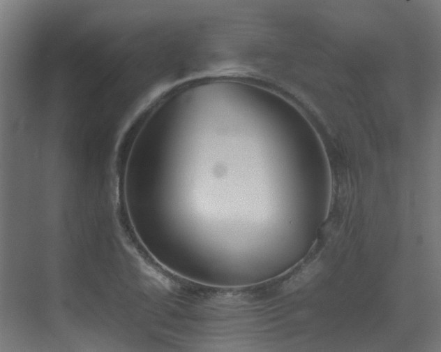 X0000074951414200609011108