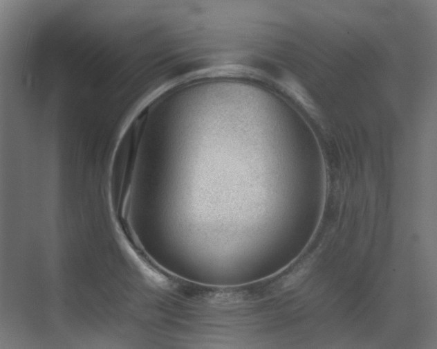 X0000074951418200609011109