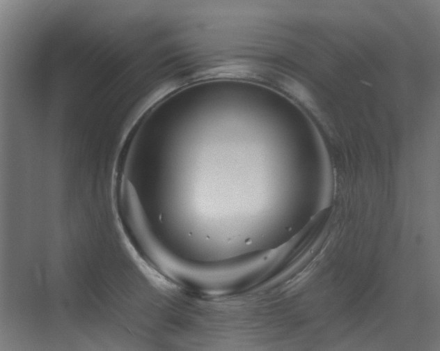 X0000074951426200609011109