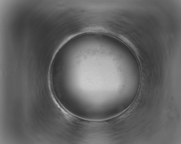 X0000074951440200609011109