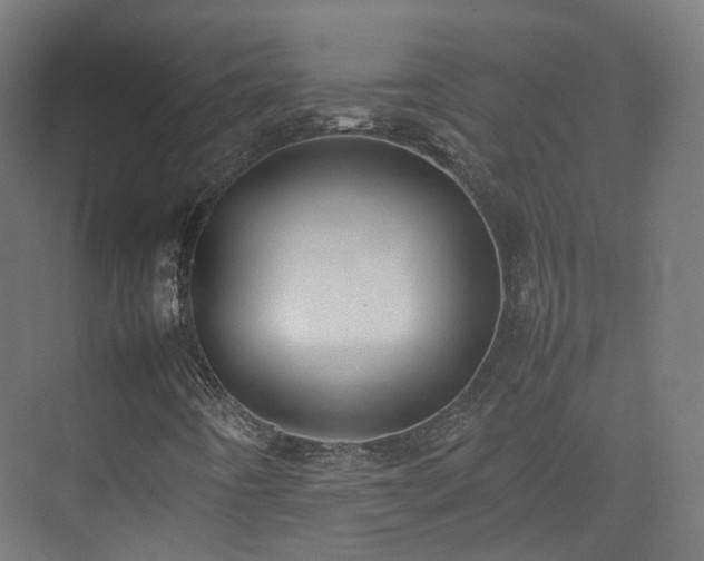 X0000074951442200609011108