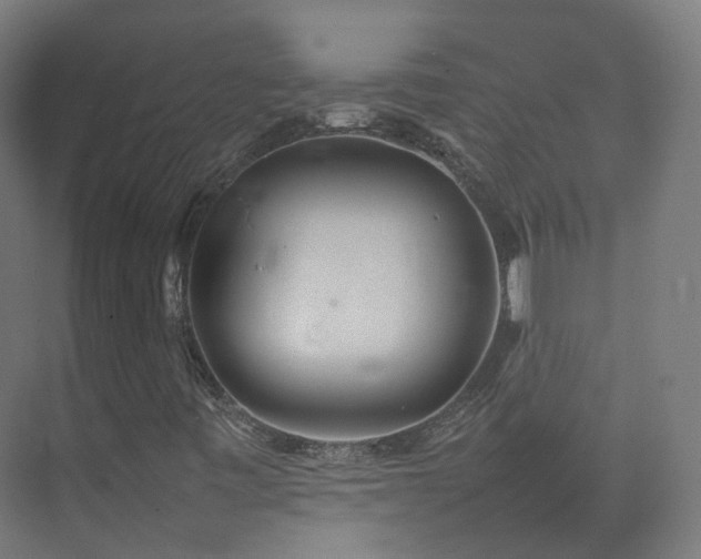 X0000074951443200609011108