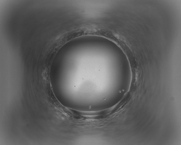 X0000074951445200609011108