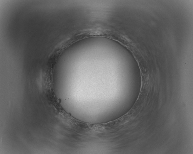 X0000074951446200609011108