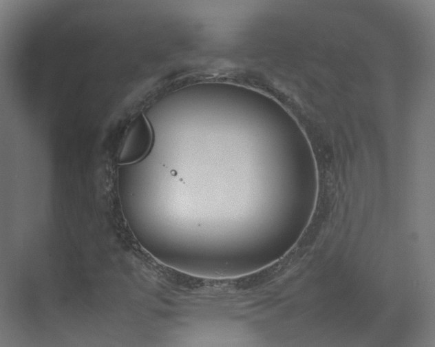 X0000074951447200609011108