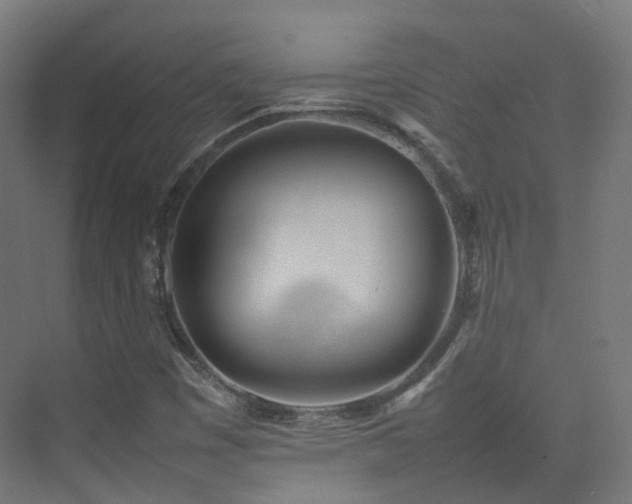 X0000074951449200609011108