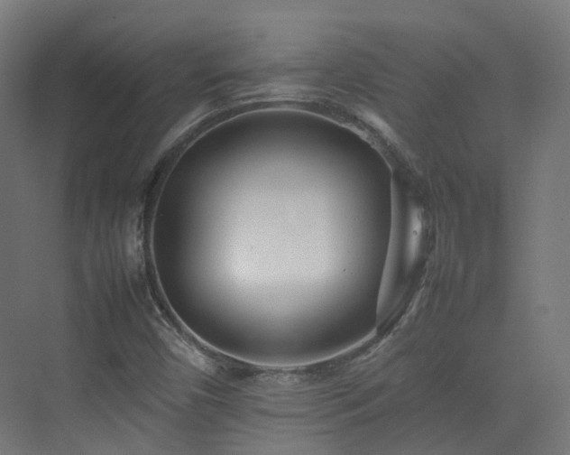 X0000074951450200609011108