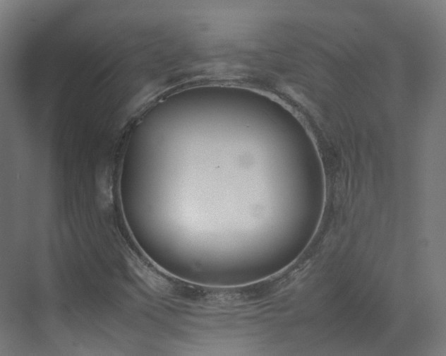 X0000074951451200609011108