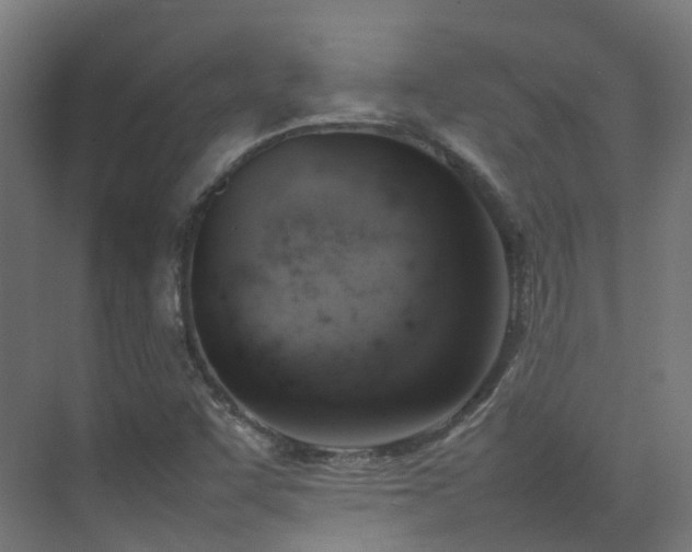 X0000074951455200609011108