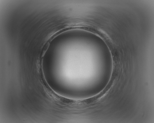 X0000074951457200609011108