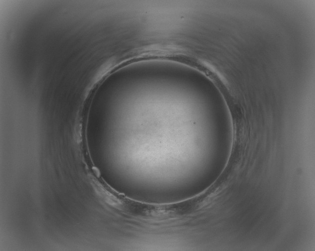 X0000074951459200609011108