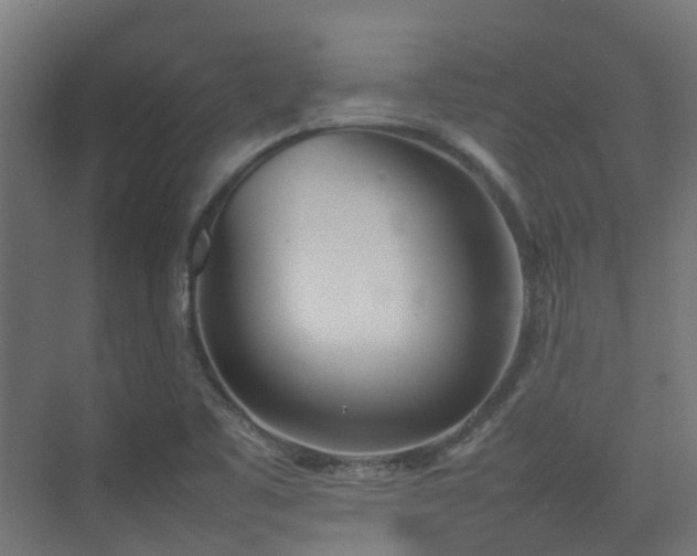 X0000074951461200609011108