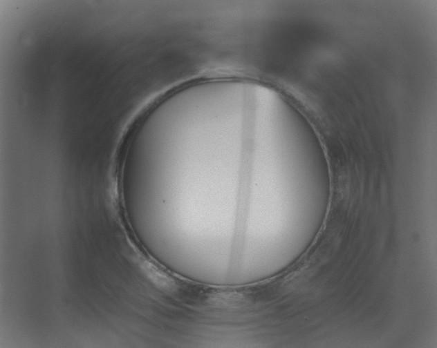 X0000074951462200609011108