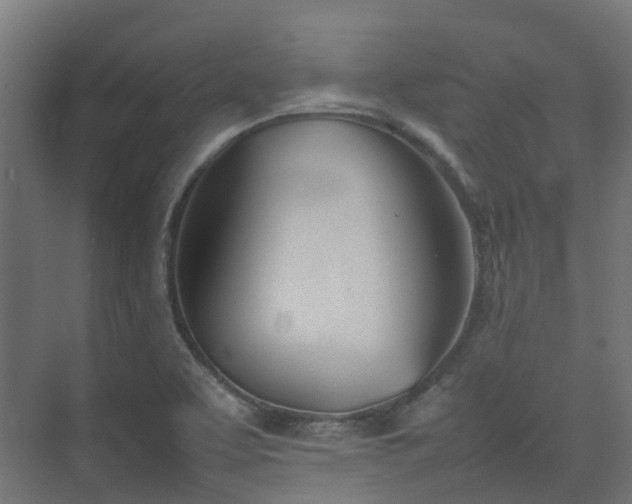 X0000074951463200609011108