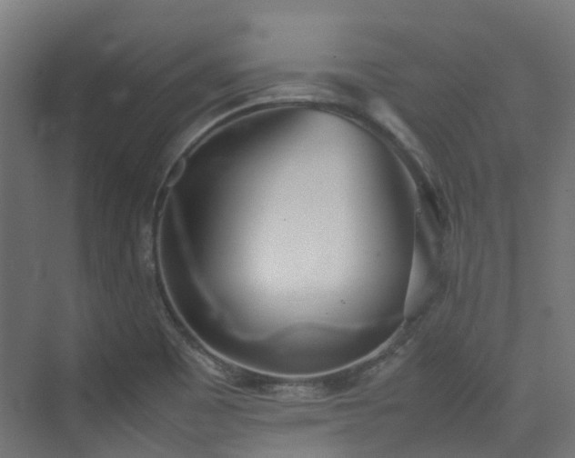 X0000074951465200609011108