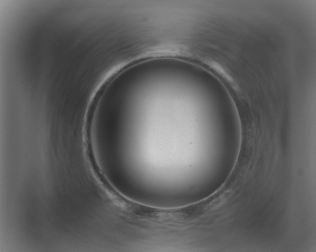 X0000074951469200609011108