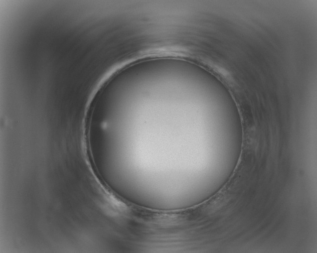 X0000074951470200609011108