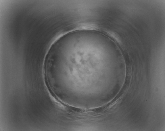 X0000074951471200609011108