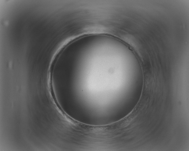 X0000074951472200609011108