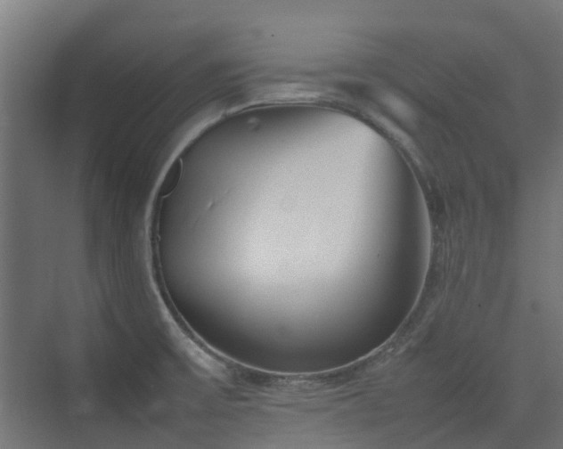 X0000074951475200609011108