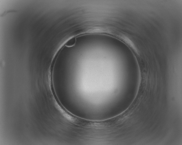 X0000074951476200609011108