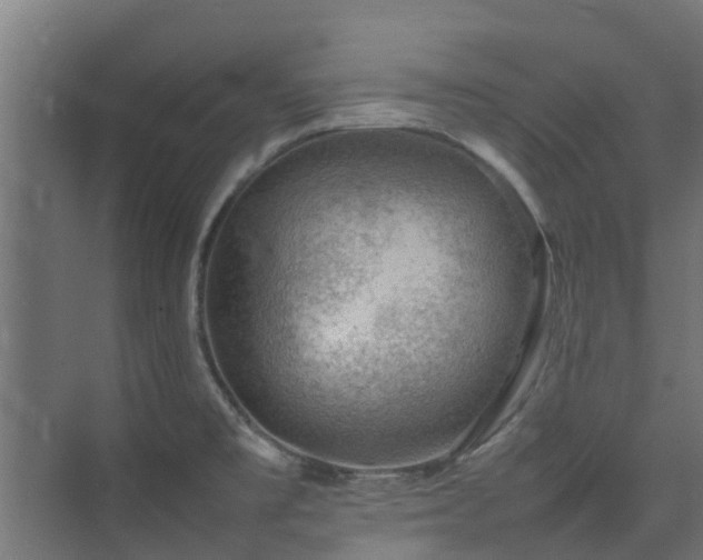 X0000074951477200609011108