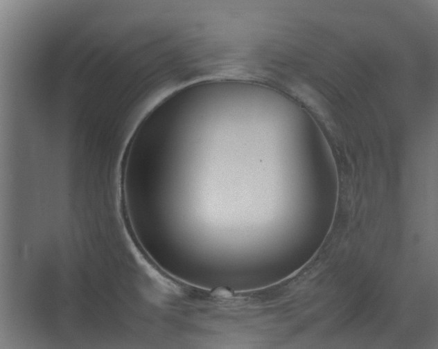 X0000074951479200609011107