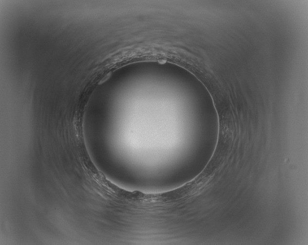 X0000074951490200609011107