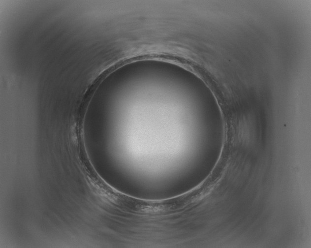 X0000074951497200609011107