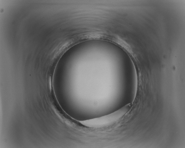 X0000074950013200609081427