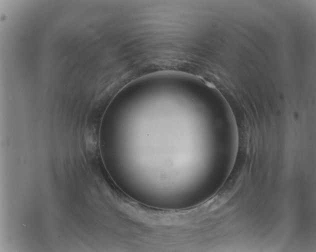 X0000074950040200609081427