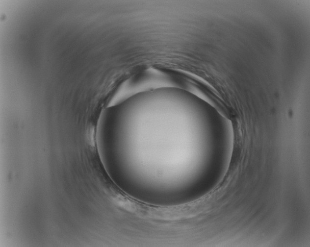X0000074950041200609081427