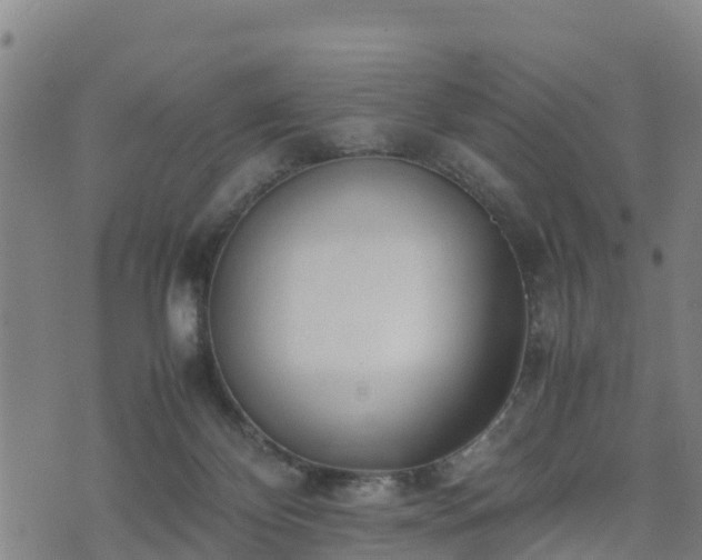 X0000074950124200609081426