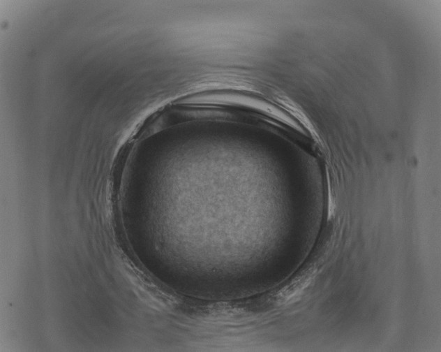 X0000074950387200609081421