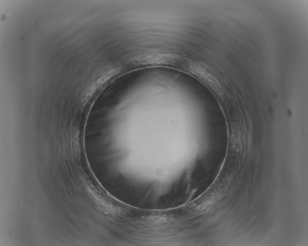 X0000074950394200609081421