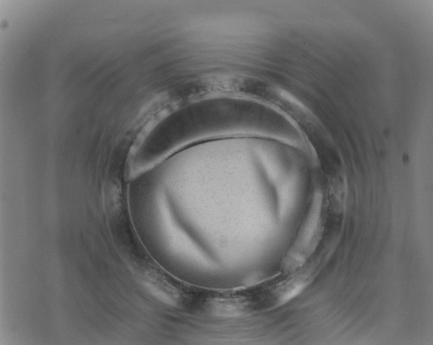 X0000074950556200609081419