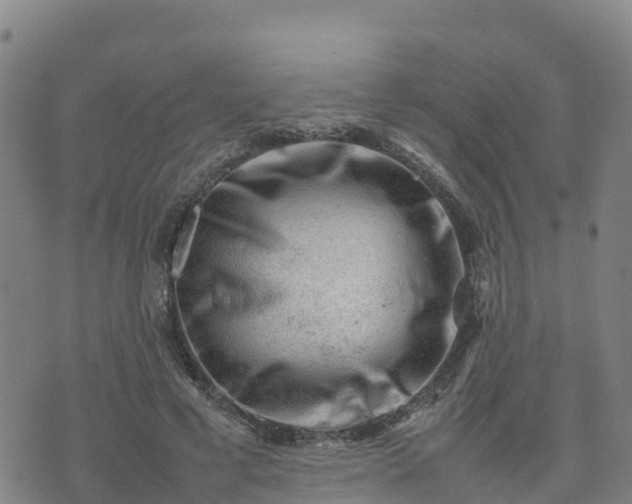 X0000074950593200609081418