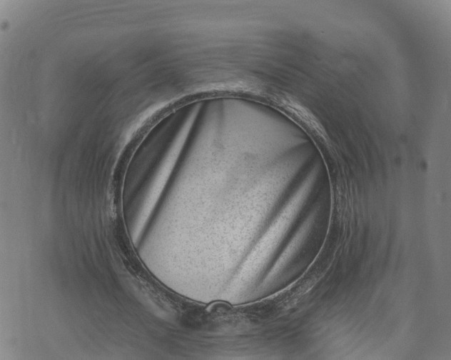X0000074950628200609081417