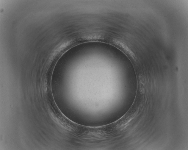 X0000074950631200609081417